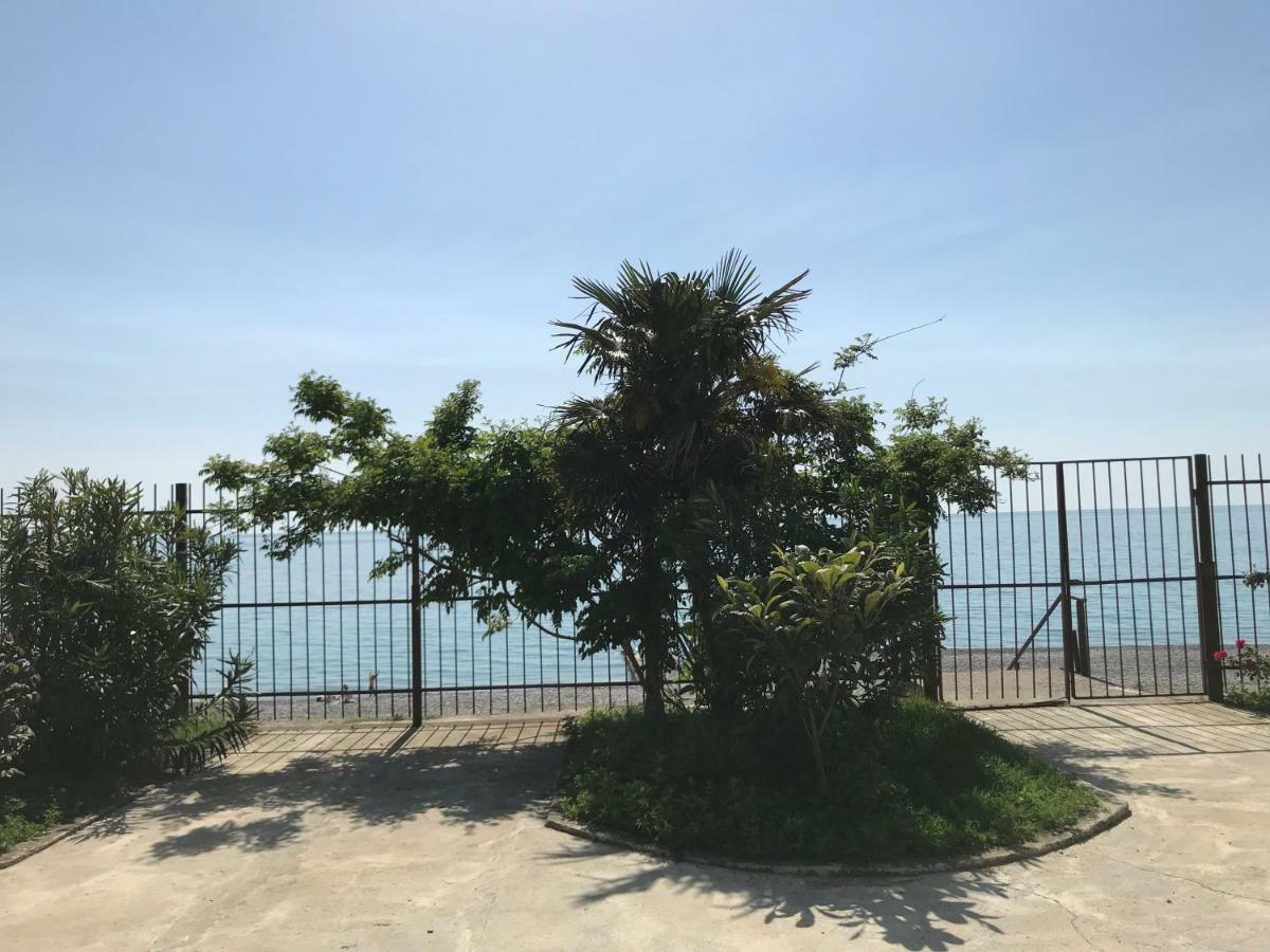 Davel Gagra Exterior foto
